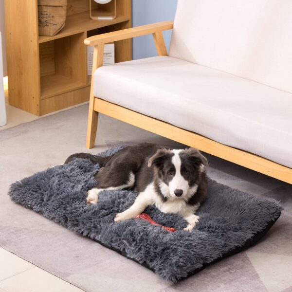 NAILAO Hundebett 100x70cm Grosse Hunde – Weiches Plüsch-Hundekissen waschbar Grau