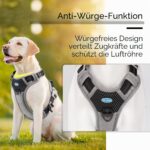 ThinkPet Anti-Zug Hundegeschirr Grösse S – Sicheres Sportgeschirr mit Griff für kleine Hunde – Bild 7