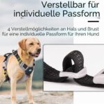 ThinkPet Anti-Zug Hundegeschirr Grösse S – Sicheres Sportgeschirr mit Griff für kleine Hunde – Bild 6