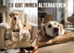 Matchpet Olivenholz Kauknochen L – Natürliches Kauspielzeug für grosse Hunde 26–35 kg – Bild 8