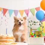 Umtiti Holz Baby Geschenkkorb mit Griff – Aufbewahrung & Deko für Babydusche – Bild 8