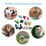 LEGEND SANDY Hundespielzeug-Set mit 12 Quietschern – Plüsch-Kauspielzeuge für kleine Hunde – Bild 5