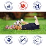 MPS Medical Pet Shirt Blau – Professioneller Wundschutz für kleine+ Hunde – Bild 4