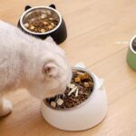 Eeyfarog Katzennapf 3er Set Edelstahl 400ml – Erhöhter Futternapf mit 15° Neigung – Bild 6