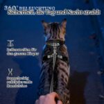 rabbitgoo Katzengeschirr S mit Leine – Ausbruchsicher & Reflektierend für Freigänger – Bild 7
