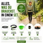 Leisegrün Joggingleine mit Bauchgurt – Freihändige Hundeleine bis 25 kg, reflektierend – Bild 2