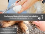 Fellschere 10,5 cm mit Mikroverzahnung – Profi-Hundeschere aus Solingen Made in Germany – Bild 4