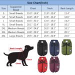 Aiboria Hundejacke L – Winddicht & Wasserdicht Wintermantel für kleine Hunde – Bild 7