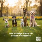 Max & Molly Matrix 2.0 Ultra LED – Hundelicht USB-aufladbar für Halsband & Geschirr – Bild 7