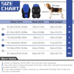 Wasserdichter Hundemantel mit Polarfleece – Winterjacke mit Reflexstreifen für kleine bis grosse Hunde – Bild 2