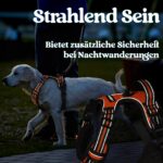 rabbitgoo Hundegeschirr L Orange – Anti-Zug mit 3 Schnallen für grosse Hunde – Bild 9
