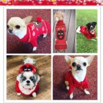 ABRRLO Weihnachtspullover für Hunde XXL – Warmer Strickpullover mit festlichem Design – Bild 4