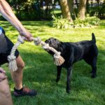 Fida Seilspielzeug 90cm für grosse Hunde – Robustes Tauzieh- & Kauspielzeug aus Baumwolle – Bild 5