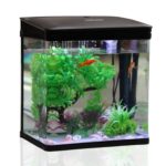 Nobleza 7L Nano Aquarium Komplettset mit LED-Beleuchtung & Filtersystem – Einsteigeraquarium