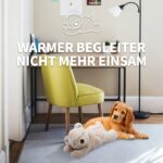 ALL FOR PAWS Little Buddy Hundespielzeug Bär – Kuscheliges Spielzeug für kleine Hunde – Bild 7