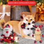 Wonfly Hundespielzeug mit Quietscher & Knitterpapier – Plüsch Kauspielzeug für Hunde – Bild 6