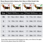 HEELE Hundegeschirr Grösse M – Anti-Zug Brustgeschirr für Mittlere Hunde | Armee Grün – Bild 2
