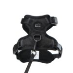 LucyBalu® Explorer Katzengeschirr XS/S mit Leine – Brustgeschirr-Set mit AirTag-Fach – Bild 8