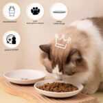 MLABINYA Keramik-Katzennapf Set 4er – Flach & Rutschfest für Katzen & kleine Hunde – Bild 3