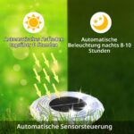YIFMOO Solar Bodenleuchten 12er Set – Kaltweiße LED Gartenbeleuchtung IP65 wasserdicht – Bild 3