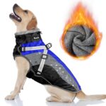 Nasjac Winter Hundemantel mit abnehmbarem Geschirr – Wasserdicht & warm für alle Grössen