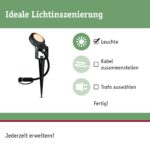 Paulmann Plug & Shine LED Gartenspot Sting Anthrazit – Insektenfreundliches Goldlicht IP67 – Bild 2