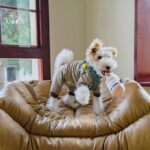 CHEWFFON Champagnerflasche Hundespielzeug mit Quietscher – interaktives Kauspielzeug für alle Hunderassen – Bild 6