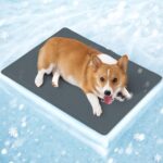 Mora Pets Kühlmatte M 65x50 cm – Selbstkühlende Hundedecke mit Gel für Hunde & Katzen