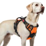 rabbitgoo Hundegeschirr L Orange – Anti-Zug mit 3 Schnallen für grosse Hunde