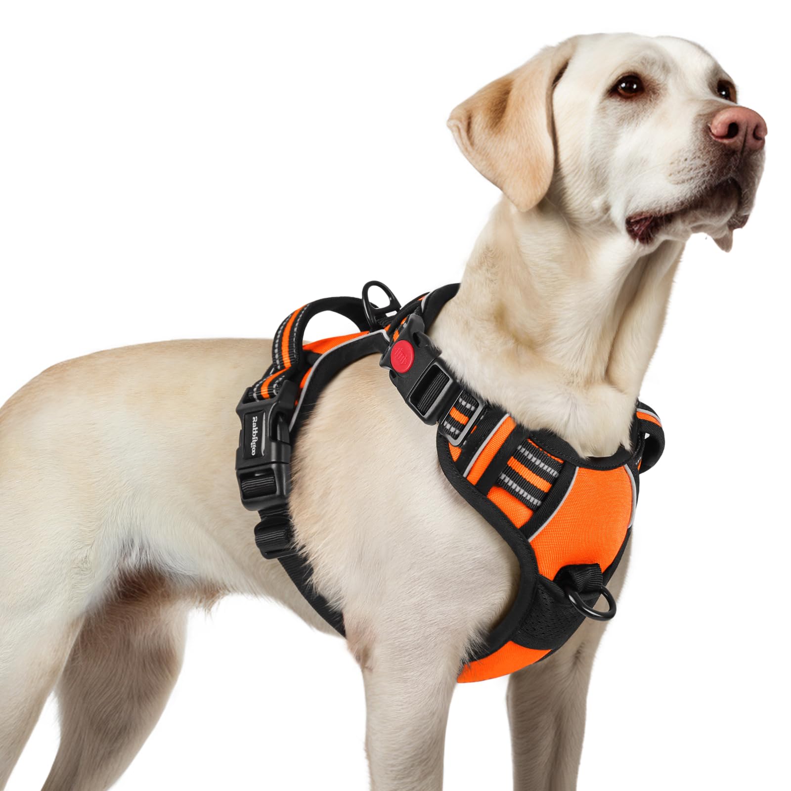 rabbitgoo Hundegeschirr L Orange – Anti-Zug mit 3 Schnallen für grosse Hunde
