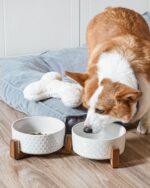 LE TAUCI Keramik Hundenapf-Set mit Akazienholzständer – 430 ml für Welpen & Katzen – Bild 5