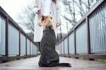 HUNTER Malmö Hundepullover Grösse 50 – Wärmender Zopfstrick für optimalen Sitz – Bild 6