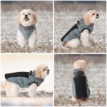 Savlot Hundejacke Grösse S – Winterweste mit D-Ring & Fleecefutter für kleine Hunde – Bild 6