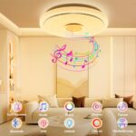 TOPPLEE LED-Deckenleuchte mit RGB-Farbwechsel & Musiksynchronisation – Dimmbar für Wohn- & Kinderzimmer – Bild 3