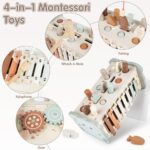 DINORUN 4-in-1 Montessori Holzspielzeug ab 1 Jahr – Motorikspielzeug mit Xylophon – Bild 2