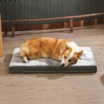 Amazon Basics Gel-Memoryschaum Hundebett 89x56cm – Orthopädisches Hundekissen mit Kühleffekt – Bild 8
