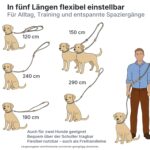 LeileiPaws 3 m Verstellbare Multifunktions-Hundeleine aus Nylon & Leder – Führleine für alle Hunderassen – Bild 2