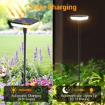 Ainostone Solar-Gartenleuchten 4er Set – 34 Lumen Warmweiss IP65 Wasserdicht für Garten – Bild 3