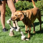 Fida Seilspielzeug 90cm für grosse Hunde – Robustes Tauzieh- & Kauspielzeug aus Baumwolle – Bild 6