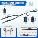 Eyein Doppelleine für 2 Hunde – 360° drehbar, stoßdämpfend & reflektierend (3–16 kg) – Bild 2