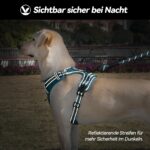 PoyPet No-Pull Hundegeschirr M – Reflektierendes Brustgeschirr ohne Würgen für Mittelgrosse Hunde – Bild 9