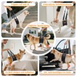 PICK FOR LIFE Hundegeschirr Tragehilfe – Verstellbare Gehhilfe für kleine, mittlere & grosse Hunde – Bild 7