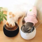 Eeyfarog Katzennapf 3er Set Edelstahl 400ml – Erhöhter Futternapf mit 15° Neigung – Bild 2