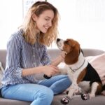 QKURT 4er Set Hundeschuhe wasserdicht – Pfotenschutz mit Reflektoren für alle Grössen – Bild 6