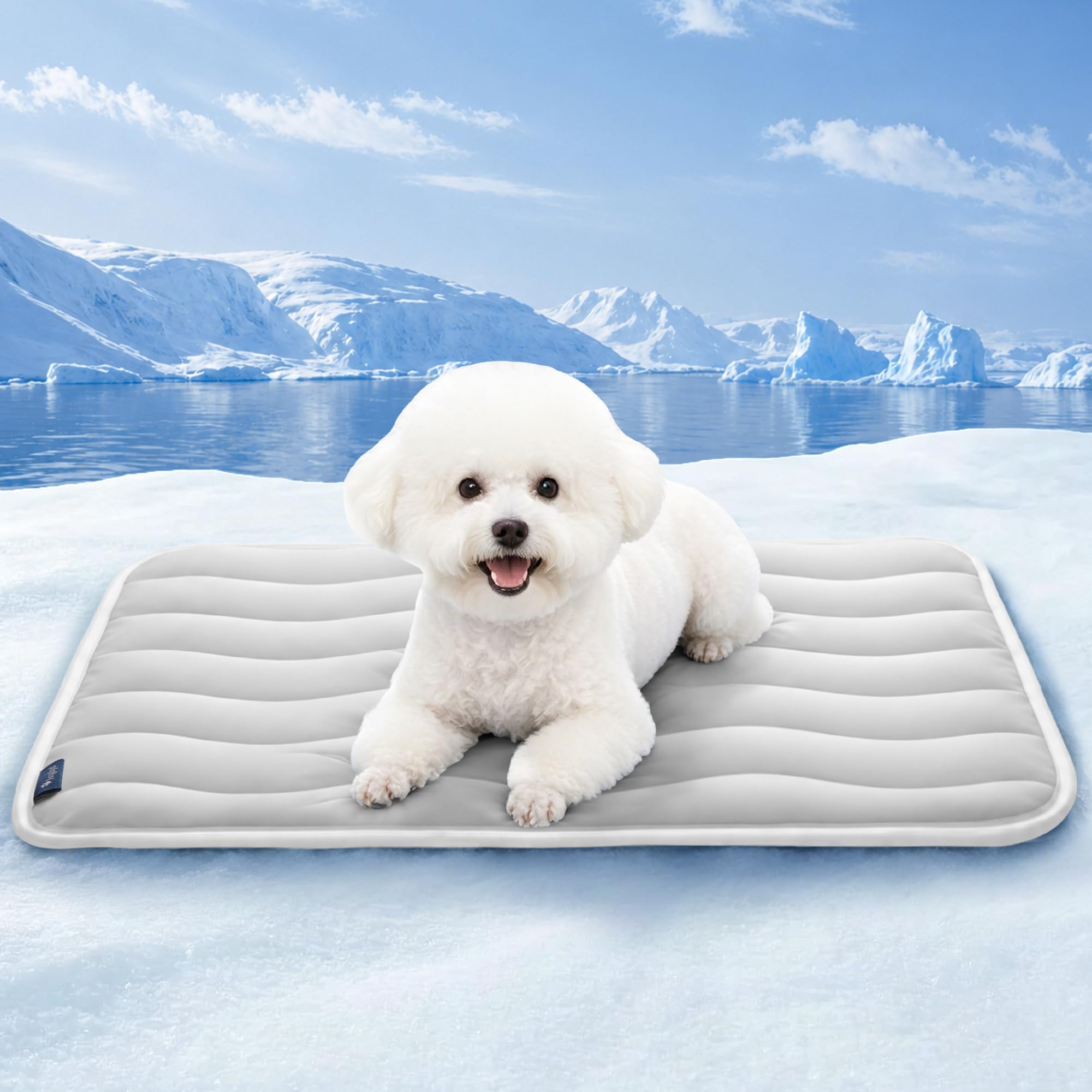 Angelpet Kühlmatte 60x50cm für Hunde & Katzen – Selbstkühlende Hundematte mit Q-MAX >0,56