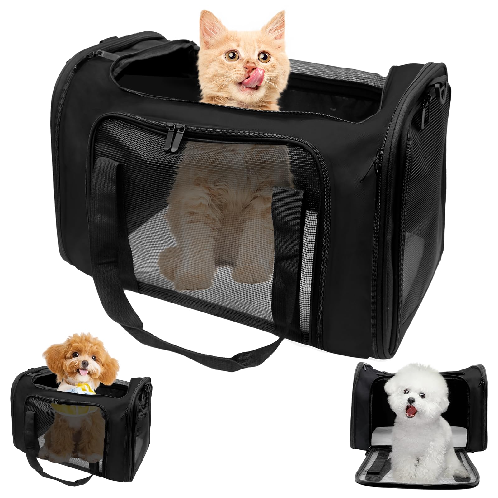 Druuzyl Transporttasche 51x33x33cm – Faltbare Hundebox & Katzentransportbox bis 7,5kg