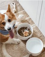LE TAUCI Keramik Hundenapf-Set mit Akazienholzständer – 430 ml für Welpen & Katzen – Bild 8