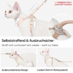 BuddyArmor Katzengeschirr Y-Form M – Ausbruchsicher & Anti-Würgen für sichere Spaziergänge – Bild 3