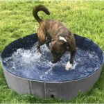 Purlov Faltbarer Hundepool 100x30 cm – 230L Gartenpool mit Ablaufventil für Hunde – Bild 2