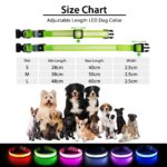 PcEoTllar LED Leuchthalsband Hund Grün-L – Aufladbar & Wasserdicht mit 7 Farben – Bild 6
